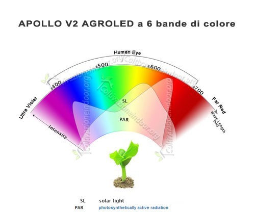 Bande di colore apollo led